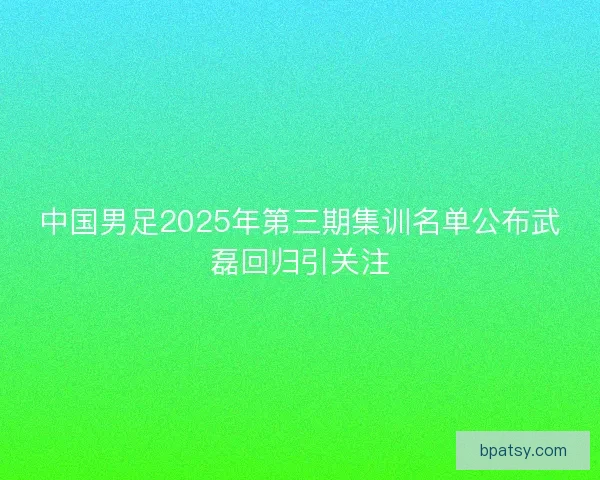中国男足2025年第三期集训名单公布武磊回归引关注