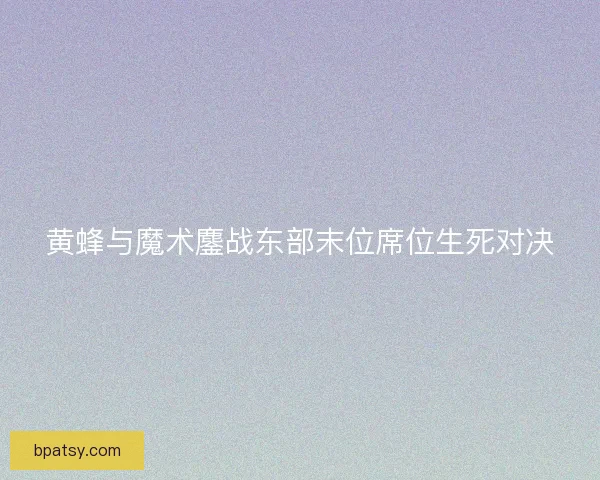 黄蜂与魔术鏖战东部末位席位生死对决 黄蜂与魔术鏖战东部末位席位生死对决